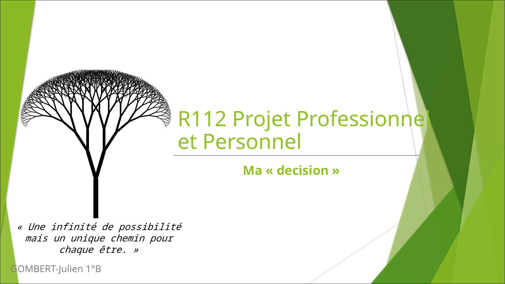 Screenshot du projet Projet Personnel et Professionnel (PPP)